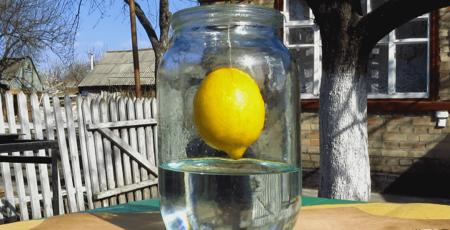 лимон на проволоке в банке